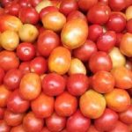 टमाटर के दाम