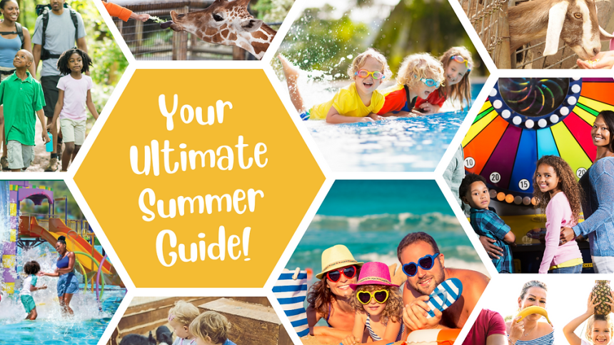 समर वेकेशन