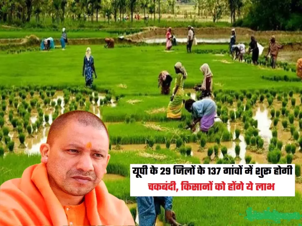What is the benefit of consolidation to the farmers