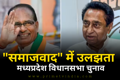 MP Assembly Election 2023