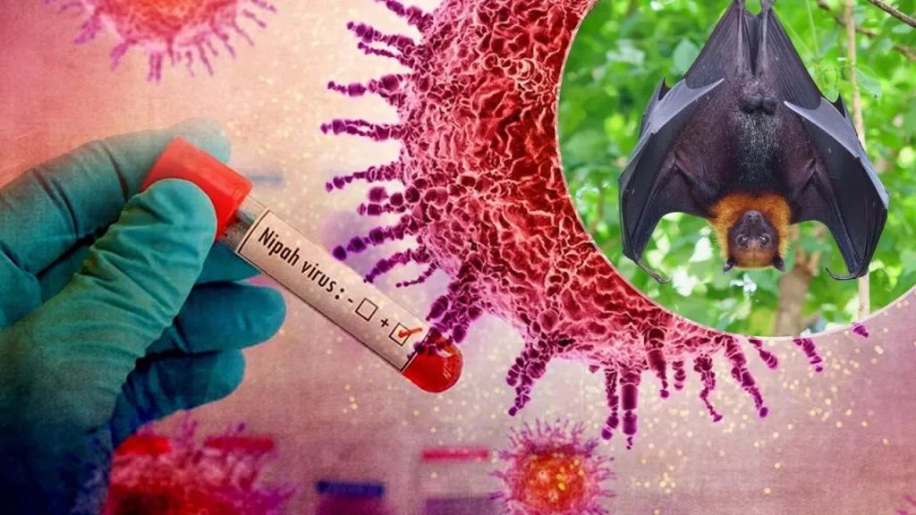 What is Nipah virus?