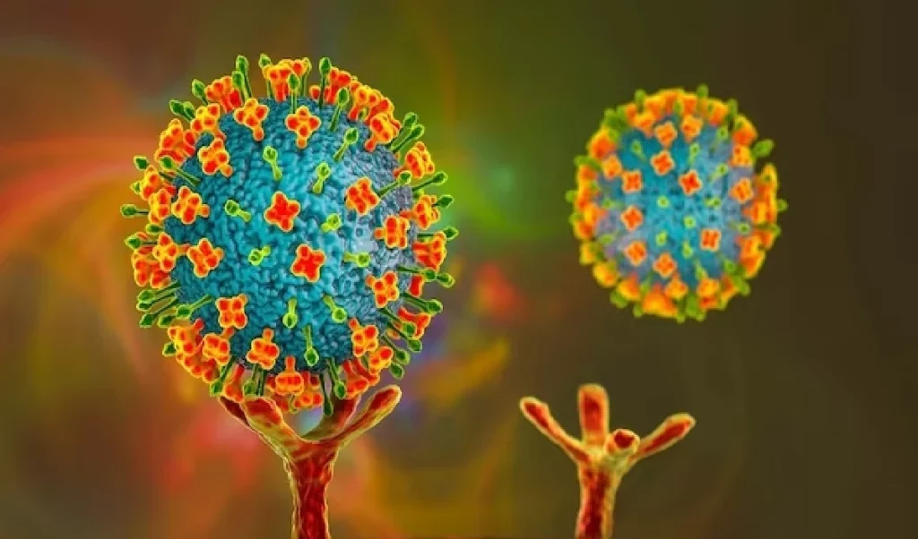 Nipah virus: