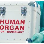 Transportation of Organ