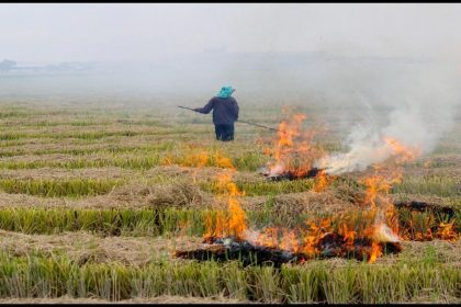 हरियाणा में एक साथ 24 अधिकारी और कर्मचारी किए गए सस्पेंड