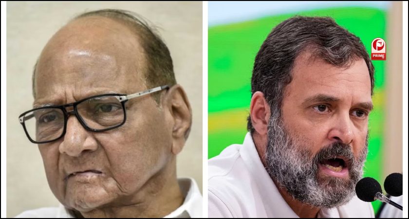 शरद पवार,राहुल गांधी