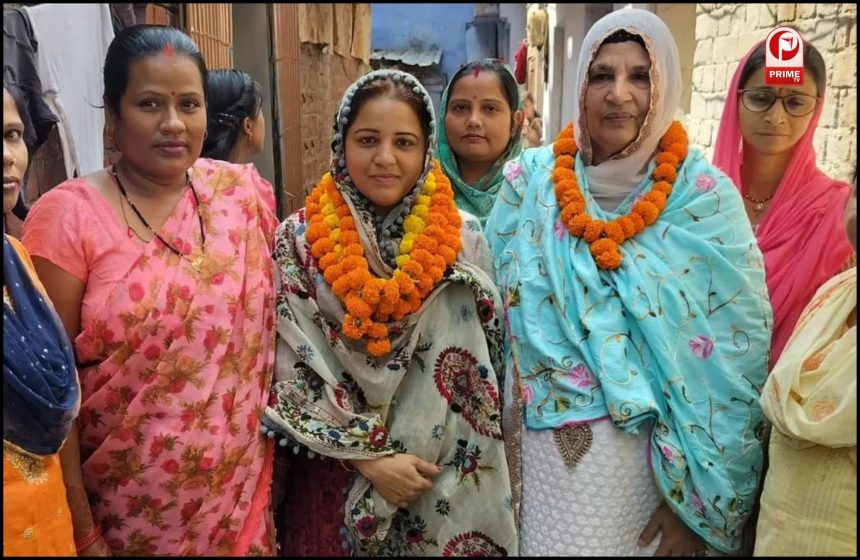 सीसामऊ से नसीम सोलंकी ने दर्ज की जीत