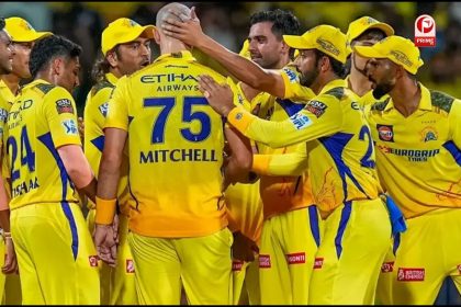 Chennai Super Kings, Auction Players