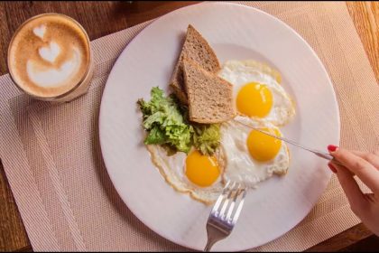 egg eating in winters