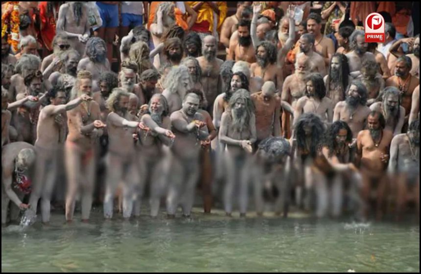 Naga Sadhus Maha Kumbh 2025
