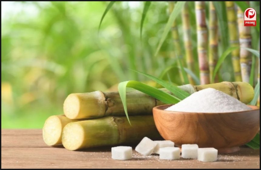 शुगर स्टॉक