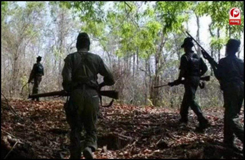 29 नक्सलियों ने किया सरेंडर