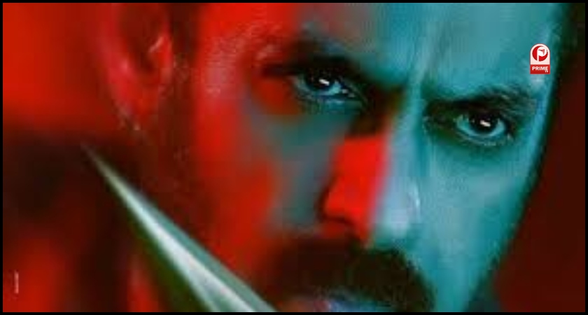 Sikandar Advance Booking