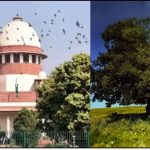 सुप्रीम कोर्ट का बड़ा फैसला