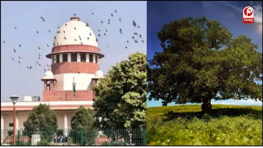 सुप्रीम कोर्ट का बड़ा फैसला