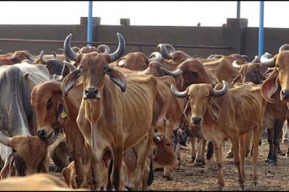 UP Government Scheme For Farmers