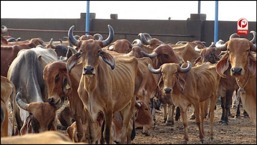 UP Government Scheme For Farmers