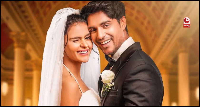 Priyanka Chahar-Ankit Gupta Break Up