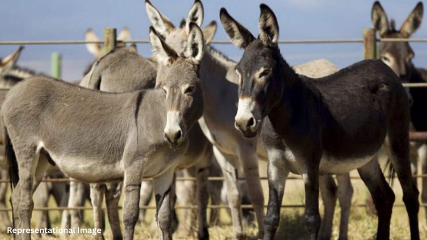 Representational Image