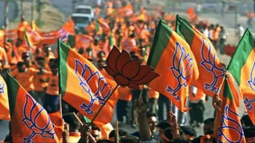 BJP Flag