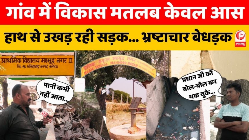 महमूद नगर