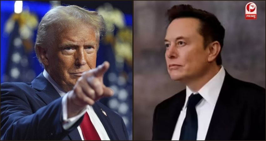 Elon Musk political party