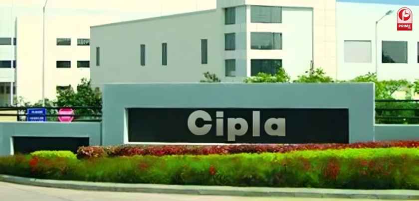 cipla share price