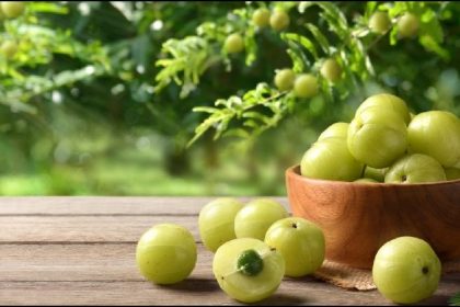 Gooseberry Benefits