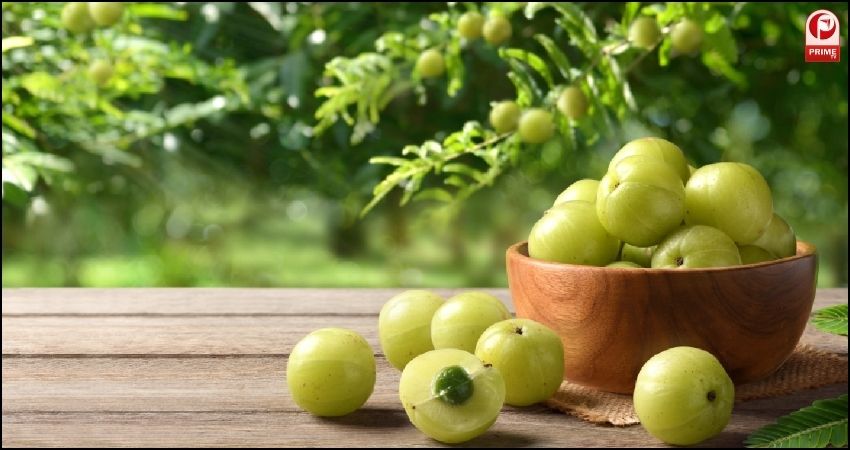 Gooseberry Benefits