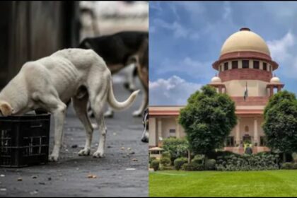 Supreme Court Hearing