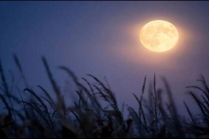 Bhadrapada Purnima 2025