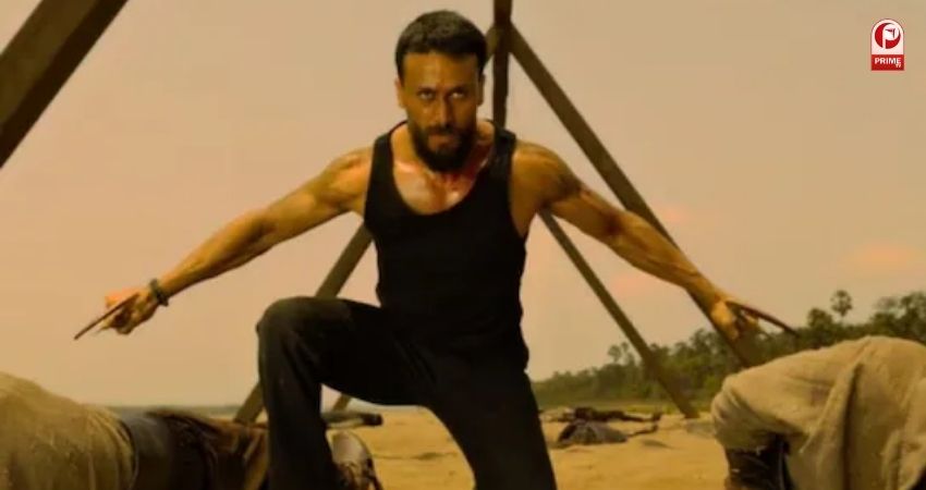 द बंगाल फाइल्स का बॉक्स ऑफिस कलेक्शन