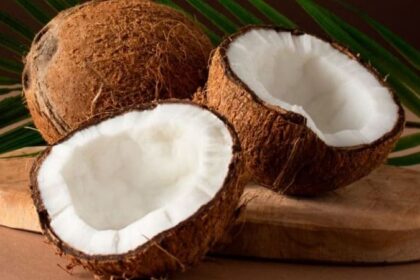 World Coconut Day 2025