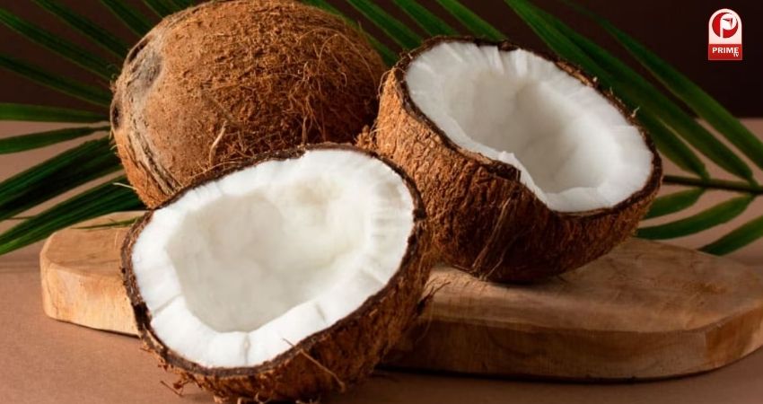 World Coconut Day 2025