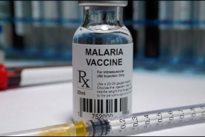 malaria vaccine update