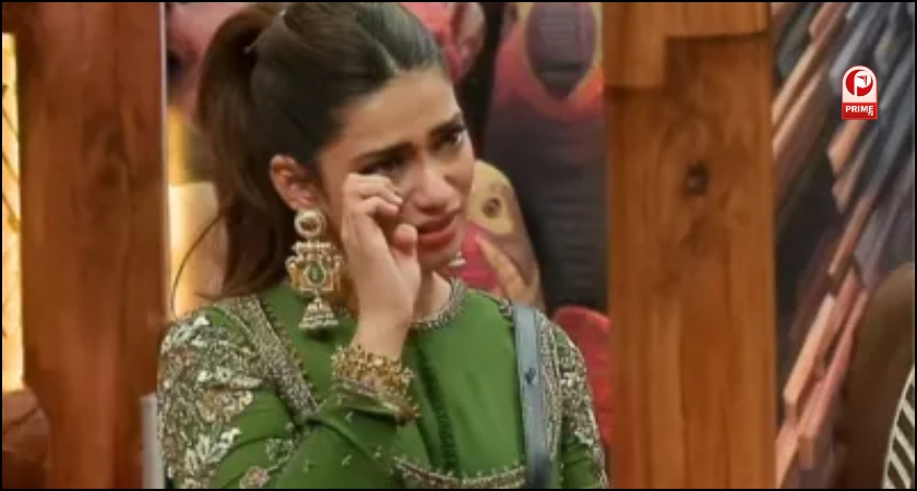 नगमा मिराजकर