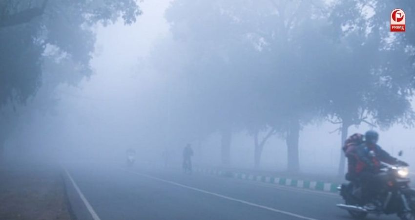 गुलाबी ठंड