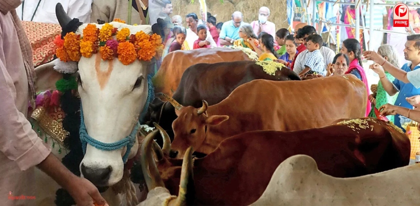 Gopashtami