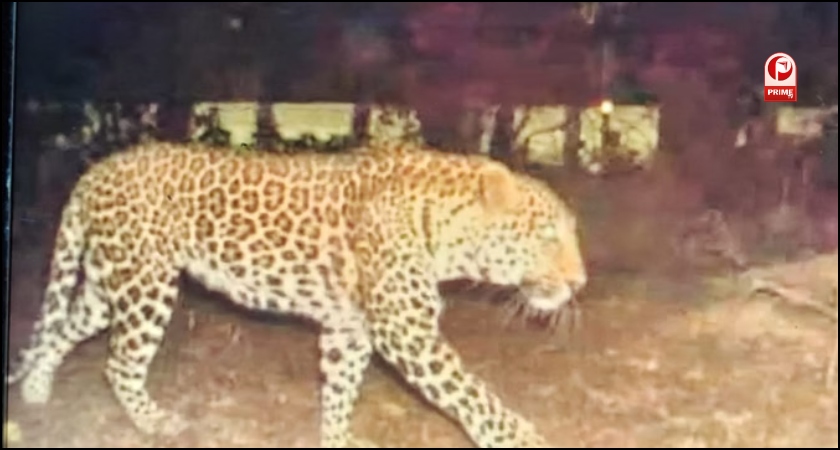 Lakhimpur Kheri News