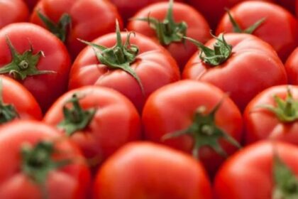 Pakistan-Afghanistan Tension