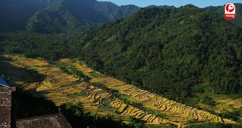 भारत का पहला ग्रीन विलेज भी है खोनोमा