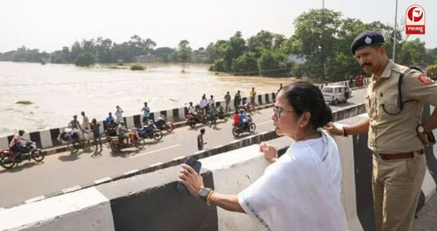 mamata