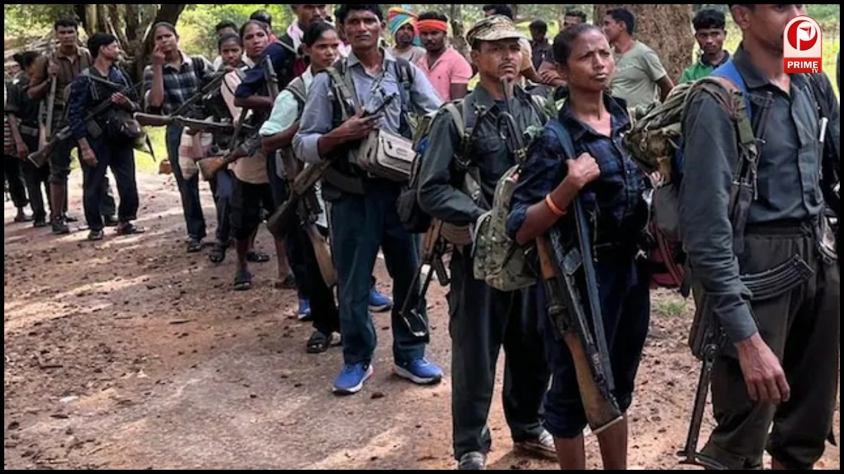 Bijapur Naxals Surrender