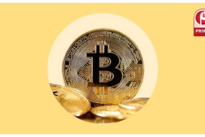 Crypto Market Update