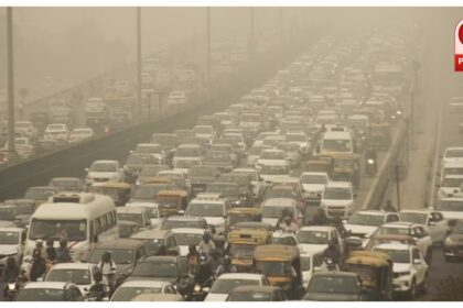Delhi Pollution