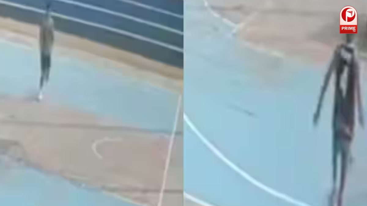 विनेश फोगाट ने खिलाड़ी की मौत को लेकर जताया दुख