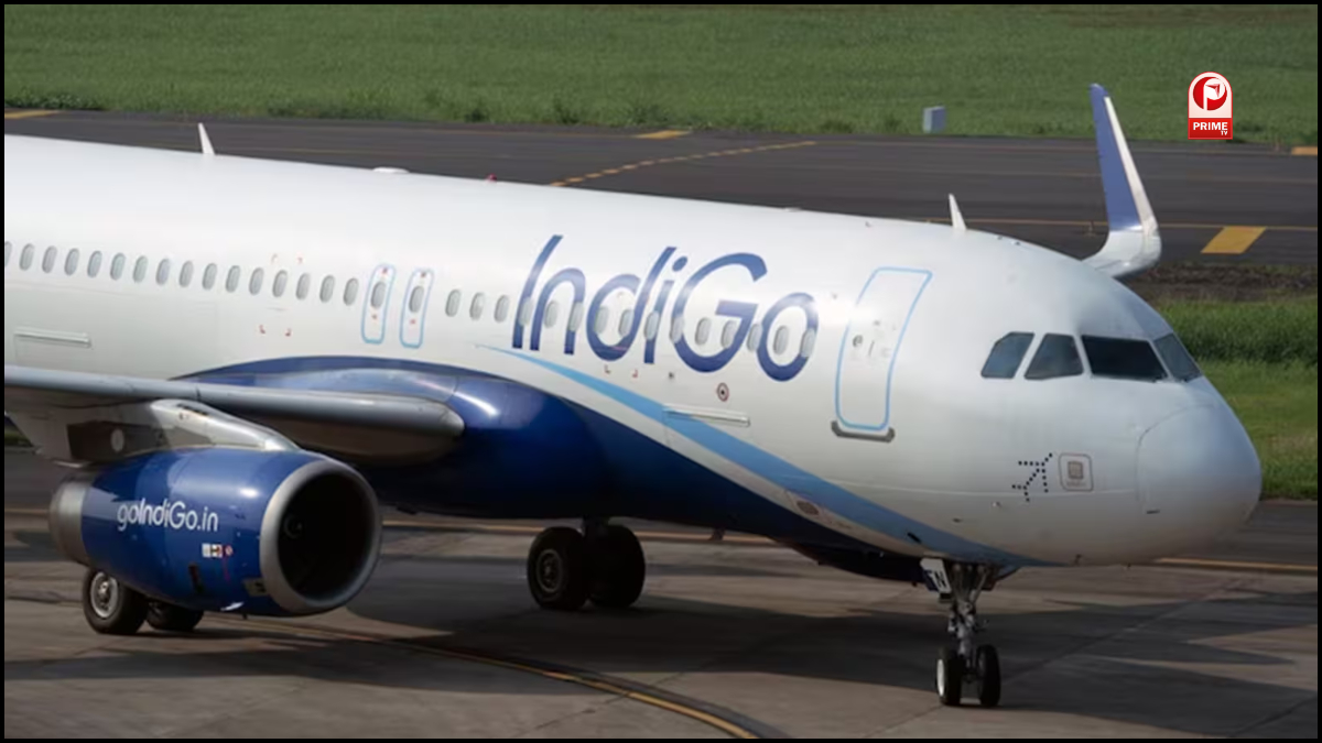 Indigo Crisis