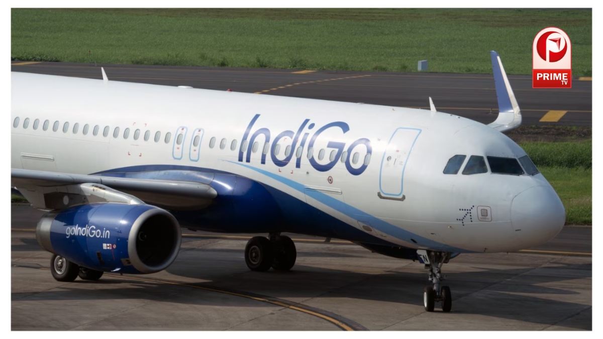 Indigo Share Price