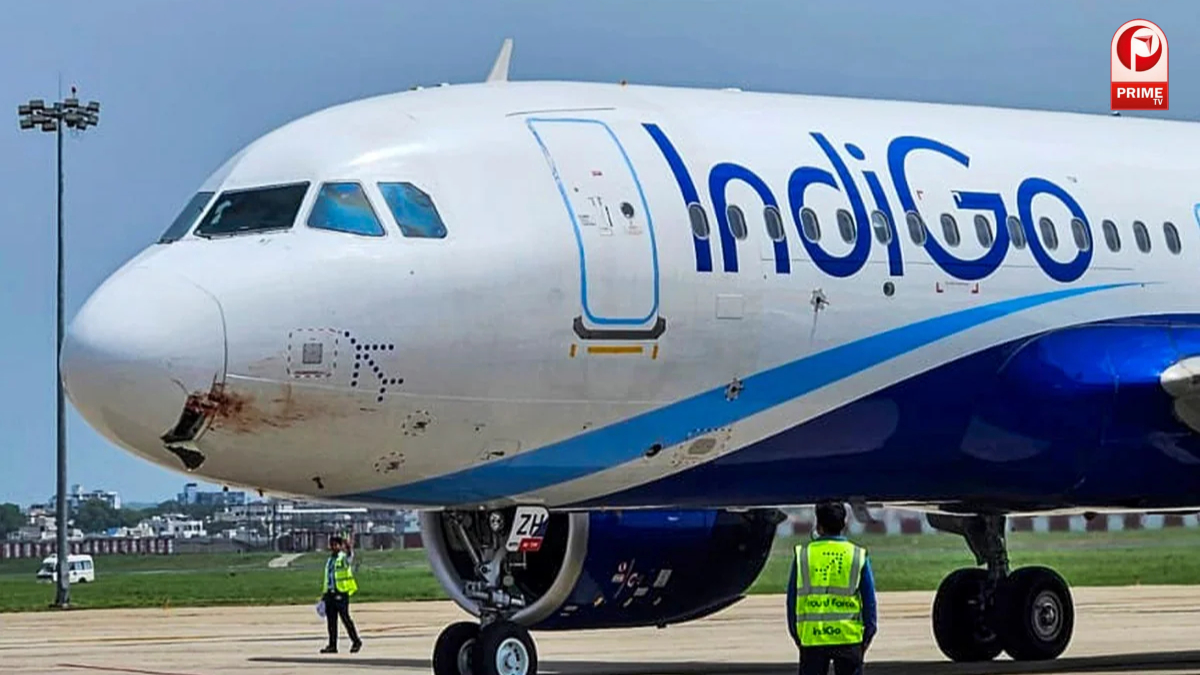 इंडिगो सिस्टम क्रैश, देशभर में उड़ानें ठप