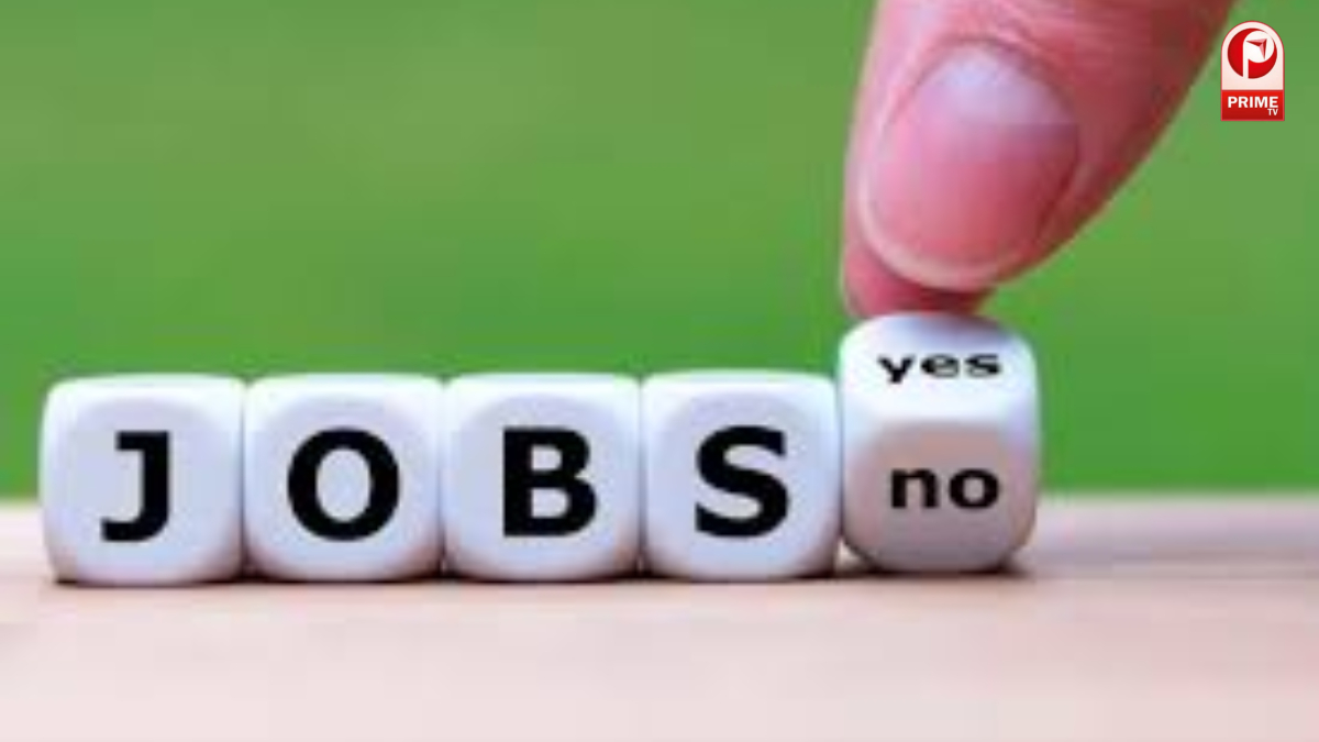 सरकारी नौकरी में बंपर भर्ती