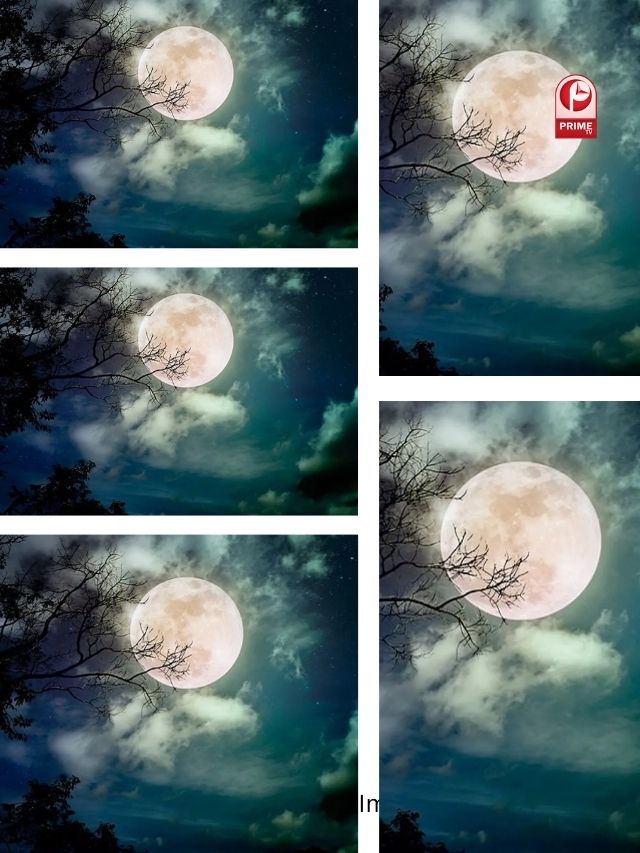 Margashirsha Purnima 2025